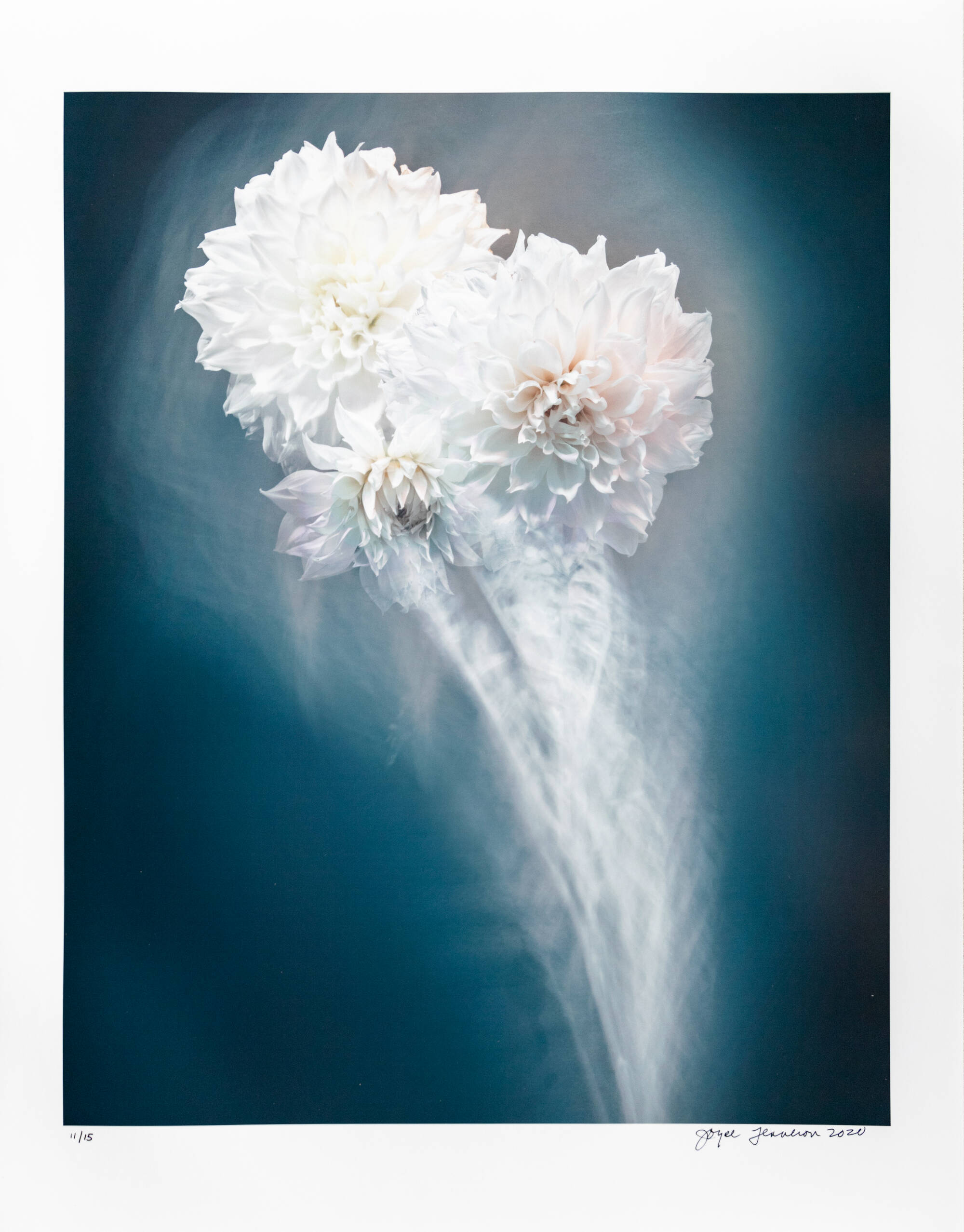 A close-up photograph of three white dahlias. They have a white blurry cloud around them